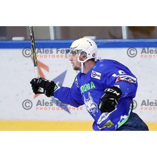 Ales Music of Slovenia in action during EIHC Challenge ice-hockey match between Slovenia and Latvia in Bled Ice Hall, Slovenia on November 3, 2016