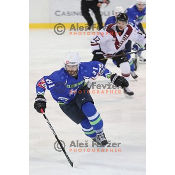Ziga Pesut of Slovenia in action during EIHC Challenge ice-hockey match between Slovenia and Latvia in Bled Ice Hall, Slovenia on November 3, 2016