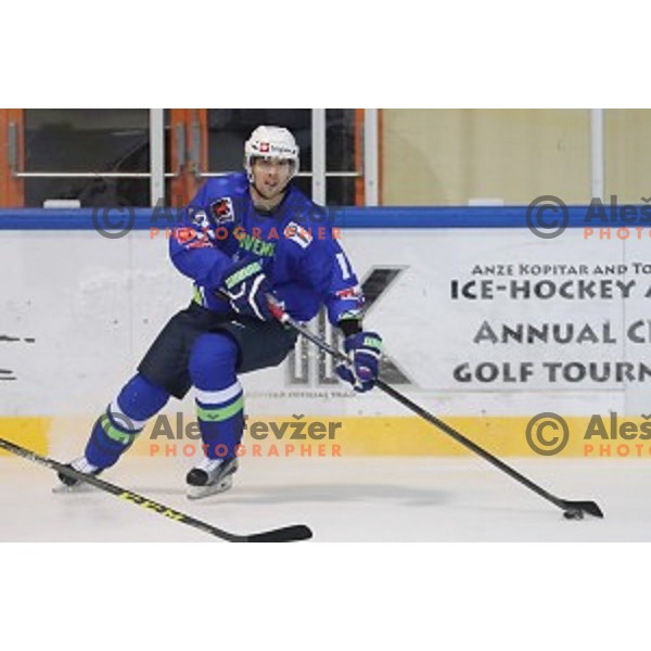 David Rodman of Slovenia in action during EIHC Challenge ice-hockey match between Slovenia and Latvia in Bled Ice Hall, Slovenia on November 3, 2016