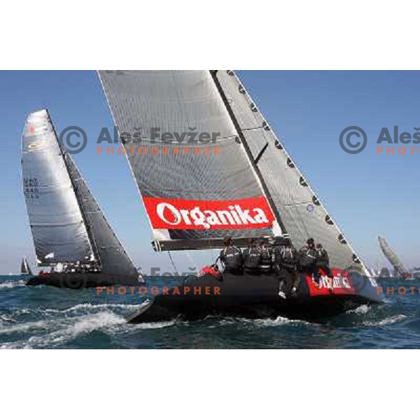 Rc 44 team Polska at Sailing regatta Barcolana, Trieste, Italy 14.10.2007. Photo by Ales Fevzer 