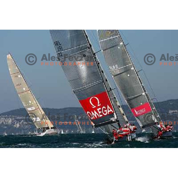 Sailing regatta Barcolana, Trieste, Italy 14.10.2007. Photo by Ales Fevzer 