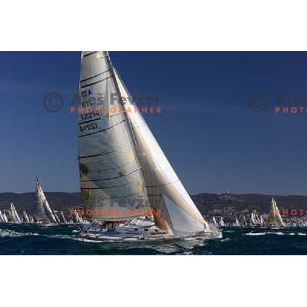 Sailing regatta Barcolana, Trieste, Italy 14.10.2007. Photo by Ales Fevzer 