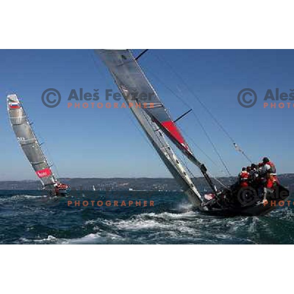 Sailing regatta Barcolana, Trieste, Italy 14.10.2007. Photo by Ales Fevzer 