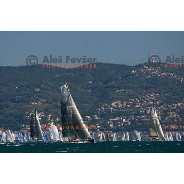 Sailing regatta Barcolana, Trieste, Italy 14.10.2007. Photo by Ales Fevzer 