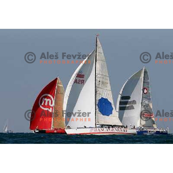 Sailing regatta Barcolana, Trieste, Italy 14.10.2007. Photo by Ales Fevzer 