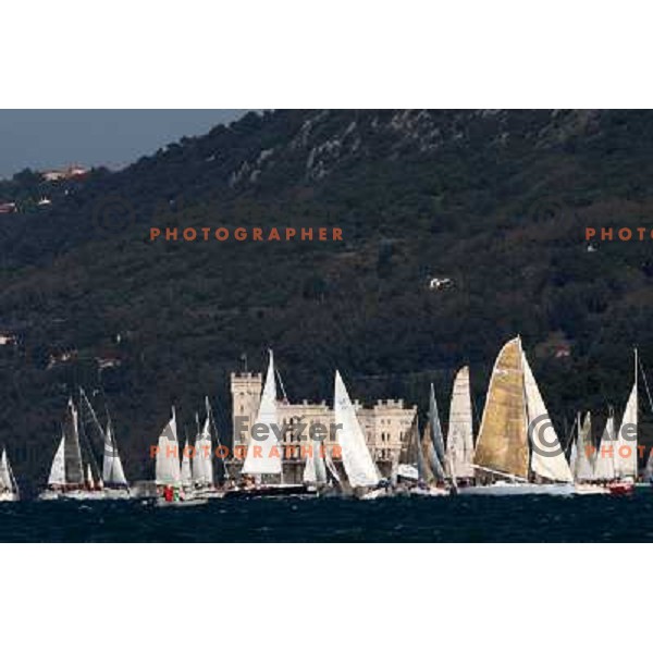 Sailing regatta Barcolana, Trieste, Italy 14.10.2007. Photo by Ales Fevzer 