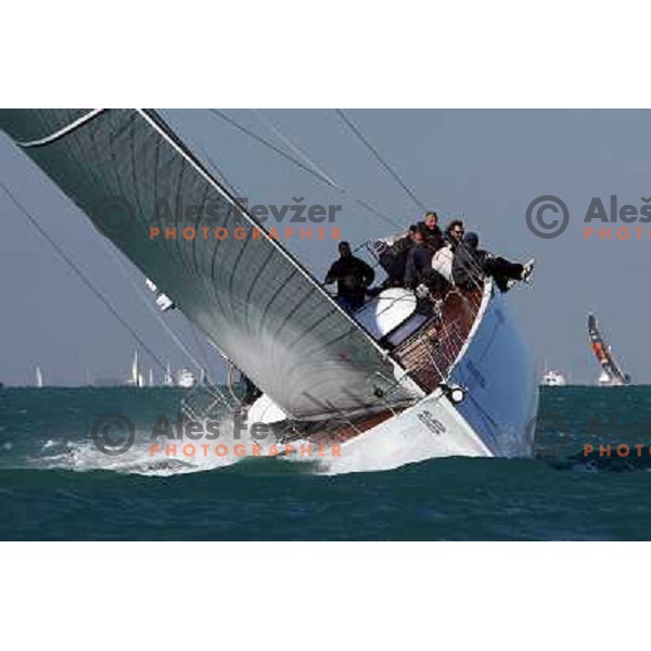 Sailing regatta Barcolana, Trieste, Italy 14.10.2007. Photo by Ales Fevzer 
