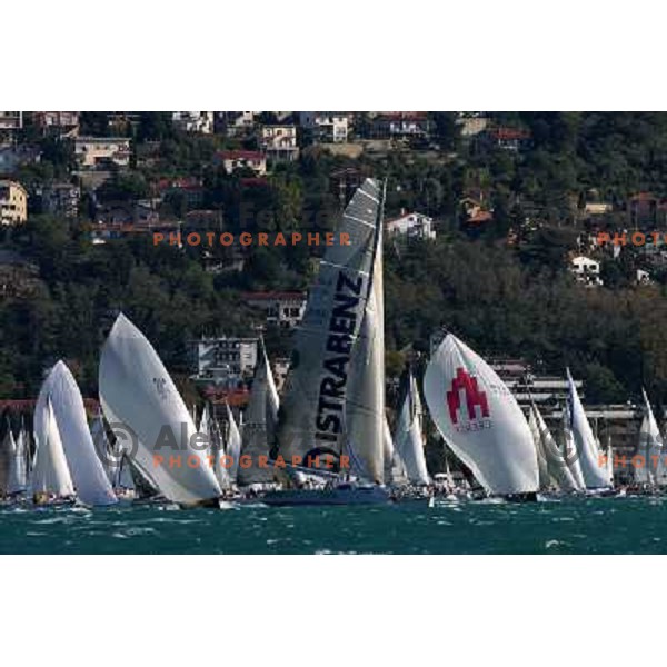 Maxi Jena and Ceeref at Sailing regatta Barcolana, Trieste, Italy 14.10.2007. Photo by Ales Fevzer 