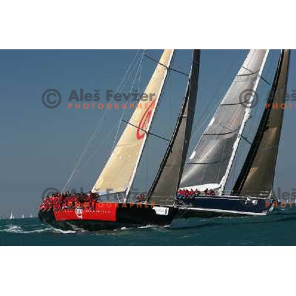 Veliki Viharnik at Sailing regatta Barcolana, Trieste, Italy 14.10.2007. Photo by Ales Fevzer 