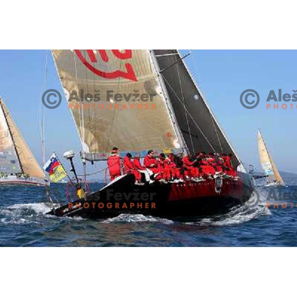 Veliki Viharnik at Sailing regatta Barcolana, Trieste, Italy 14.10.2007. Photo by Ales Fevzer 