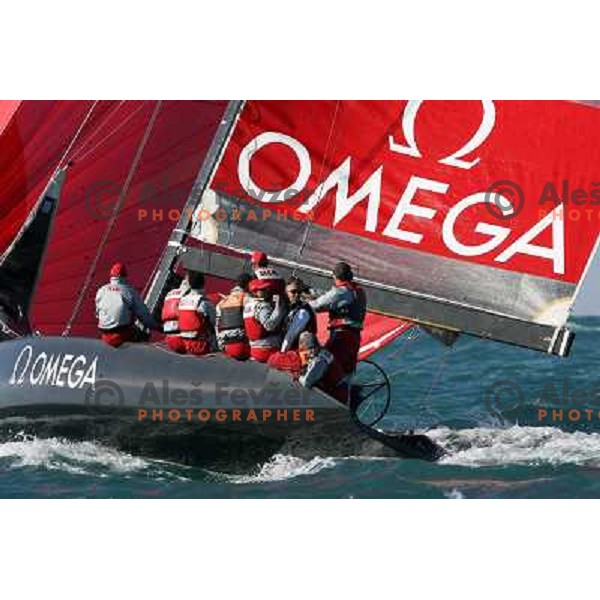 Team Omega at Sailing regatta Barcolana, Trieste, Italy 14.10.2007. Photo by Ales Fevzer 