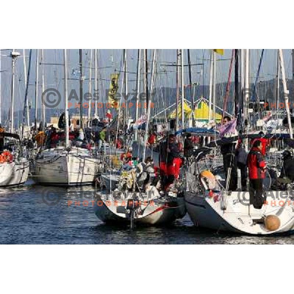 Sailing regatta Barcolana, Trieste, Italy 14.10.2007. Photo by Ales Fevzer 