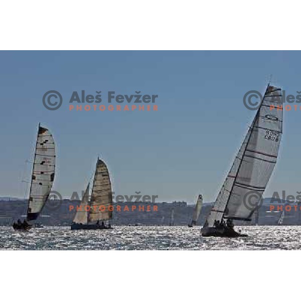 Sailing regatta Barcolana, Trieste, Italy 14.10.2007. Photo by Ales Fevzer 