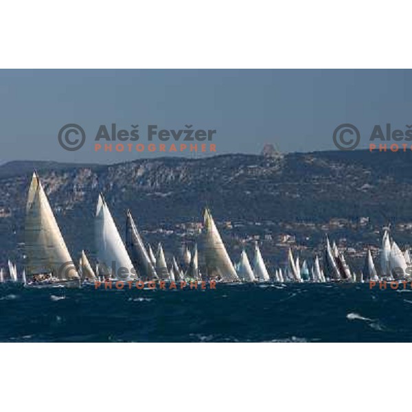 Sailing regatta Barcolana, Trieste, Italy 14.10.2007. Photo by Ales Fevzer 