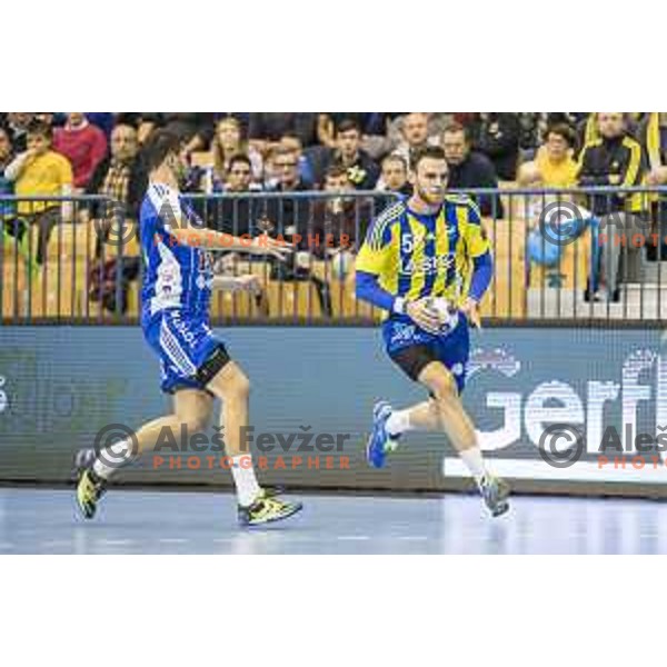 Celje’s left back Borut Mackovsek (51) in action during EHF Champions League match between Celje PL (Slovenia) and MOL-Pick Szeged (Hungary) in Zlatorog Hall, Celje on November 12th, 2016
