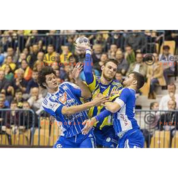 Celje’s left back Borut Mackovsek (51) in action during EHF Champions League match between Celje PL (Slovenia) and MOL-Pick Szeged (Hungary) in Zlatorog Hall, Celje on November 12th, 2016