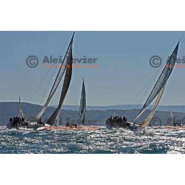 Sailing regatta Barcolana, Trieste, Italy 14.10.2007. Photo by Ales Fevzer 