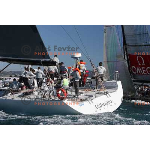Sailing regatta Barcolana, Trieste, Italy 14.10.2007. Photo by Ales Fevzer 