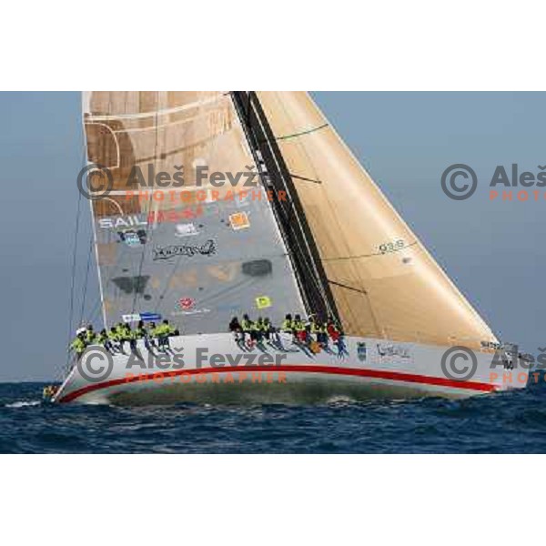 Sailing regatta Barcolana, Trieste, Italy 14.10.2007. Photo by Ales Fevzer 