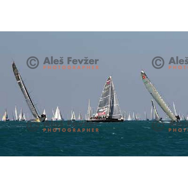 Ekipa 44 at Sailing regatta Barcolana, Trieste, Italy 14.10.2007. Photo by Ales Fevzer 