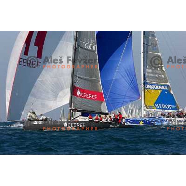 Team Ceeref and Esimit Europa at Sailing regatta Barcolana, Trieste, Italy 14.10.2007. Photo by Ales Fevzer 