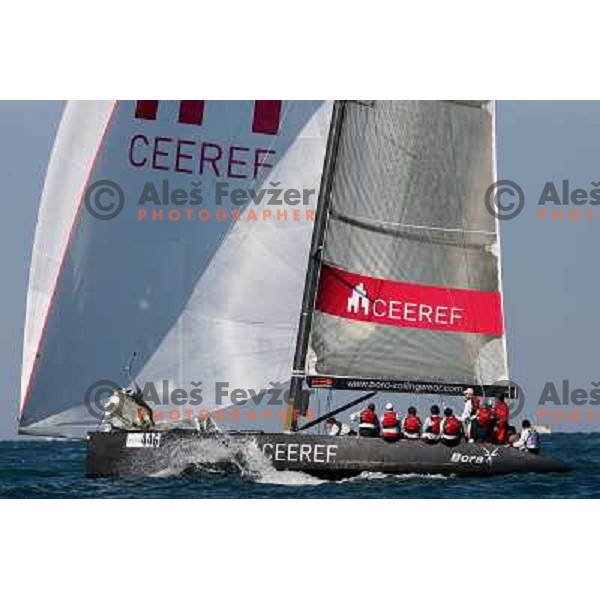 Team Ceeref at Sailing regatta Barcolana, Trieste, Italy 14.10.2007. Photo by Ales Fevzer 