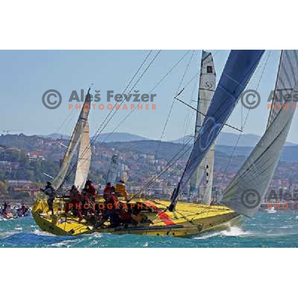 Assa Abloy at Sailing regatta Barcolana, Trieste, Italy 14.10.2007. Photo by Ales Fevzer 