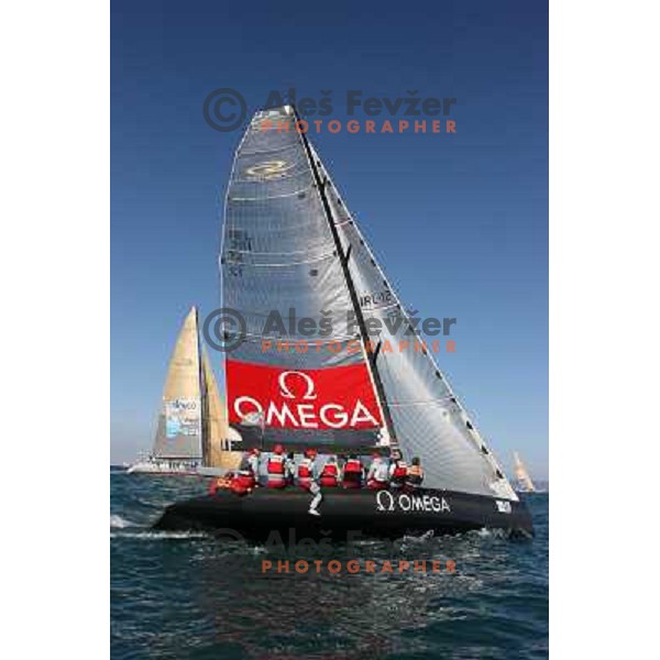 Team Omega at Sailing regatta Barcolana, Trieste, Italy 14.10.2007. Photo by Ales Fevzer 