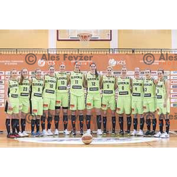 Team Slovenia Group portrait during the women’s national basketball team practice in gymnasium Centre, Celje, November 14th, 2016