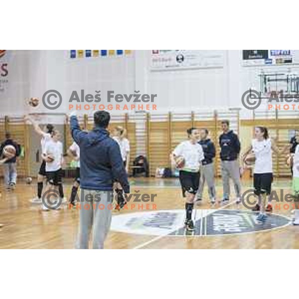Slovenia’s head coach Damir Grgic in action during the women’s national basketball team practice in gymnasium Centre, Celje, November 14th, 2016