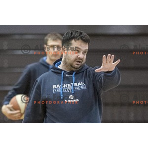 Slovenia\'s head coach Damir Grgic during the women’s national basketball team practice in gymnasium Centre, Celje, November 14th, 2016