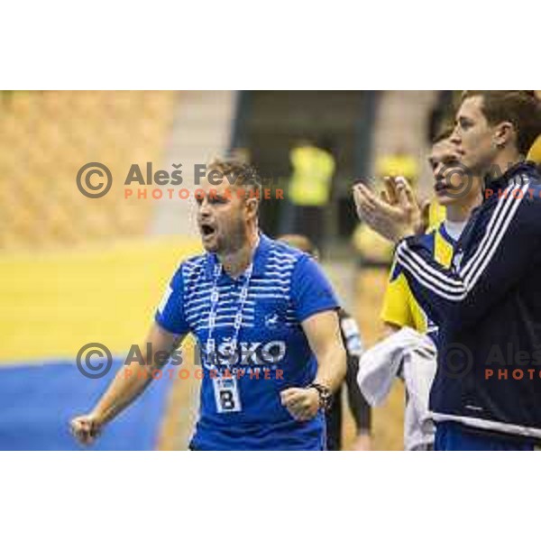 Celje’s head coach Branko Tamse reacting during 10th round SEHA Gazprom League match between Celje PL and Gorenje Velenje in Zlatorog Hall, Celje on November 15th, 2016