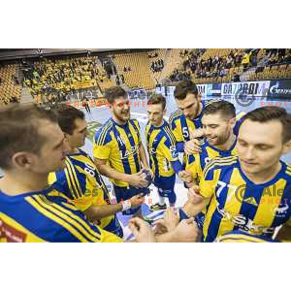 Team Celje celebrating after 10th round SEHA Gazprom League match between Celje PL and Gorenje Velenje in Zlatorog Hall, Celje on November 15th, 2016