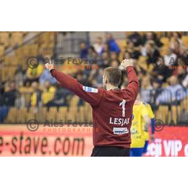 Celje’s goalkeeper Urban Lesjak (1) celebrating during 10th round SEHA Gazprom League match between Celje PL and Gorenje Velenje in Zlatorog Hall, Celje on November 15th, 2016