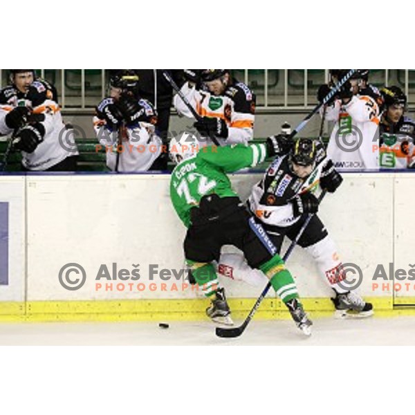 of Olimpija Ljubljana in action during ice-hockey match between Olimpija Ljubljana and Graz in EBEL league 2016/2017 in Tivoli Hall, Ljubljana, Slovenia on November 20, 2016