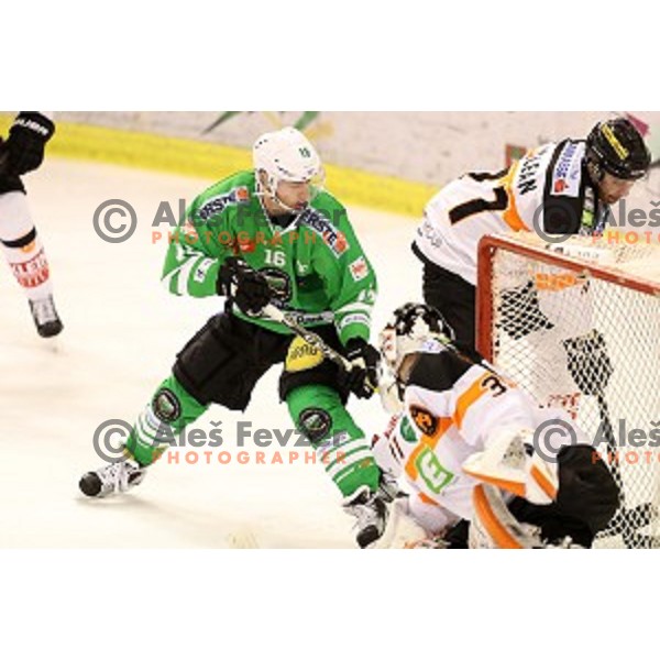 Ales Music of Olimpija Ljubljana in action during ice-hockey match between Olimpija Ljubljana and Graz in EBEL league 2016/2017 in Tivoli Hall, Ljubljana, Slovenia on November 20, 2016