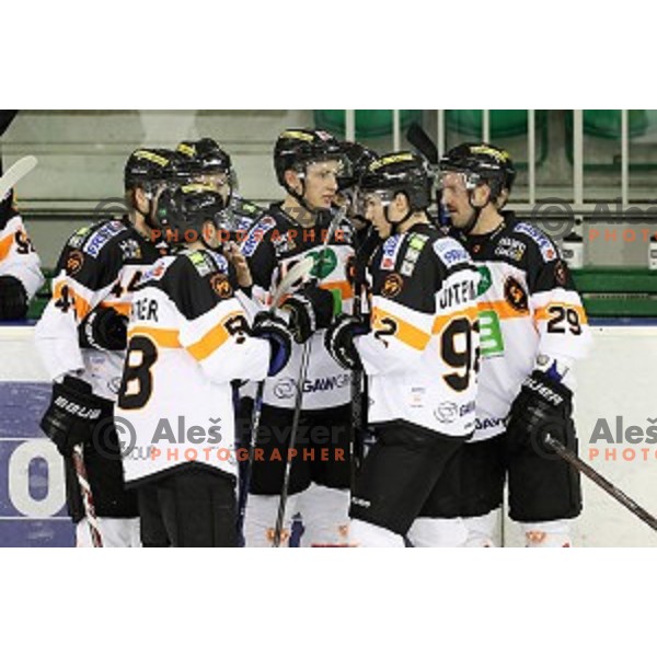 Players of Graz in action during ice-hockey match between Olimpija Ljubljana and Graz in EBEL league 2016/2017 in Tivoli Hall, Ljubljana, Slovenia on November 20, 2016