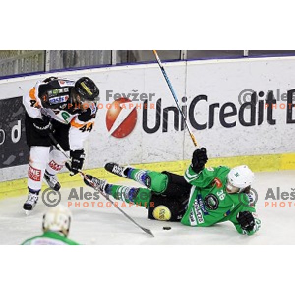 Bazevics Kristaps of Olimpija Ljubljana in action during ice-hockey match between Olimpija Ljubljana and Graz in EBEL league 2016/2017 in Tivoli Hall, Ljubljana, Slovenia on November 20, 2016 