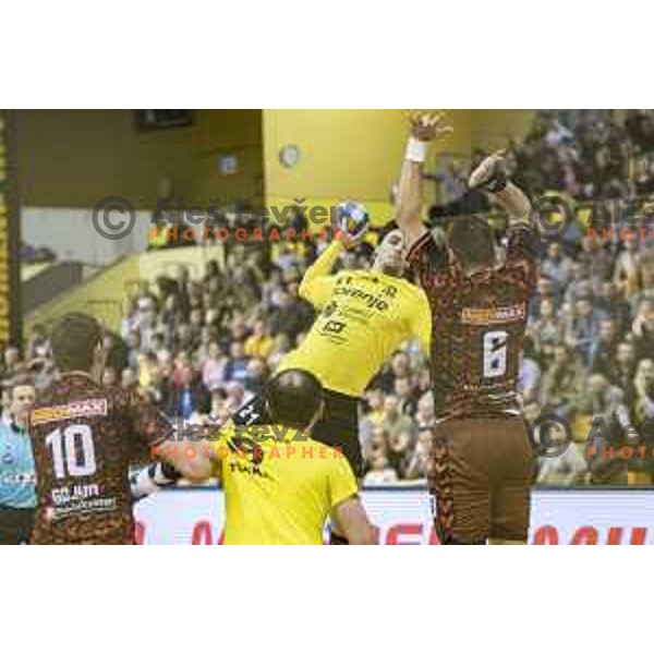 Gorenje’s left back Gregor Potocnik (21) in action during EHF Cup playoff match between Gorenje Velenje and Fuchse Berlin (Germany) in Red Hall, Celje on November 23th, 2016