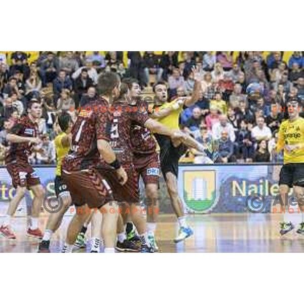Gorenje’s right wing Matjaz Brumen (77) in action during EHF Cup playoff match between Gorenje Velenje and Fuchse Berlin (Germany) in Red Hall, Celje on November 23th, 2016 