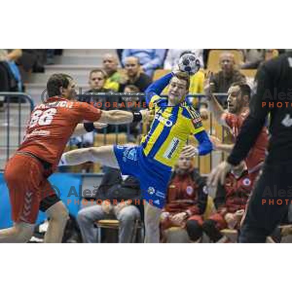 Celje’s right back Miha Zarabec (23) in action during EHF Champions League match between Celje PL (Slovenia) and Meshkov Brest (Belarus) in Zlatorog Hall, Celje on November 27th, 2016 