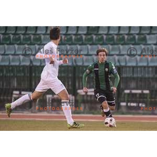 NK Rudar’s Damjan Trifkovic (15) in action during Prva liga Telekom Slovenije 2016-2017 football match between Rudar and Krsko in Velenje, on November 30th , 2016
