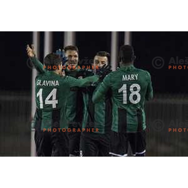Team Rudar celebrating during Prva liga Telekom Slovenije 2016-2017 football match between Rudar and Krsko in Velenje, on November 30th, 2016