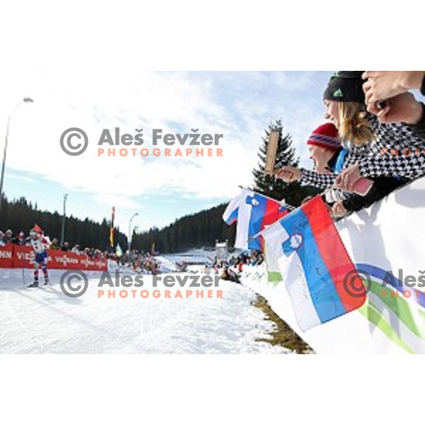 Fans at Men\'s 10 km Sprint during IBU World Cup 2016/2017 Pokljuka, Slovenia on December 9, 0216