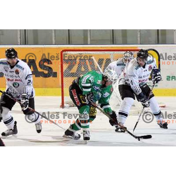 Music at ice hockey match ZM Olimpija- Alba Volan in EBEL League, played in Ljubljana 19.10.2007.Photo by Ales Fevzer 