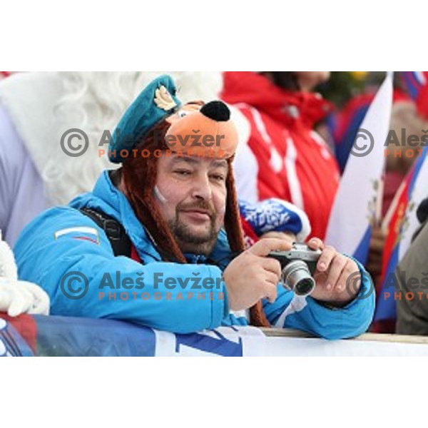 Fans at Women\'s 7,5 km Sprint during IBU World Cup 2016/2017 Pokljuka, Slovenia on December 9, 0216