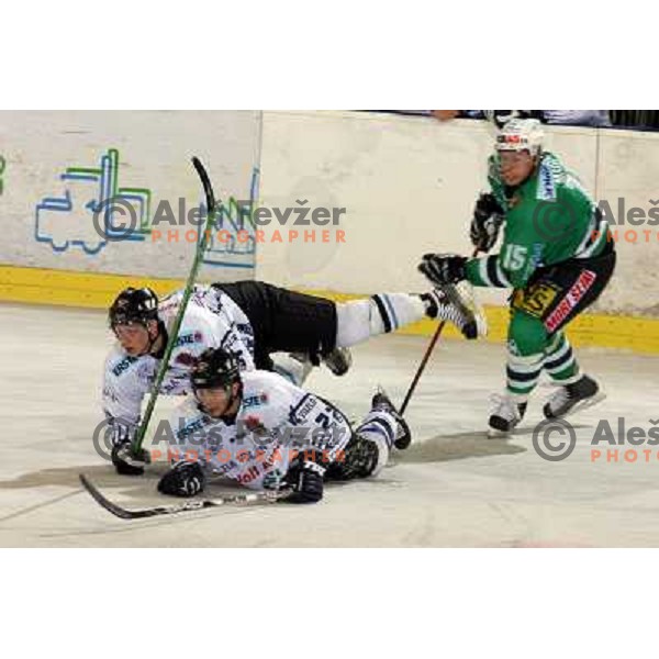 ice hockey match ZM Olimpija- Alba Volan in EBEL League, played in Ljubljana 19.10.2007.Photo by Ales Fevzer 