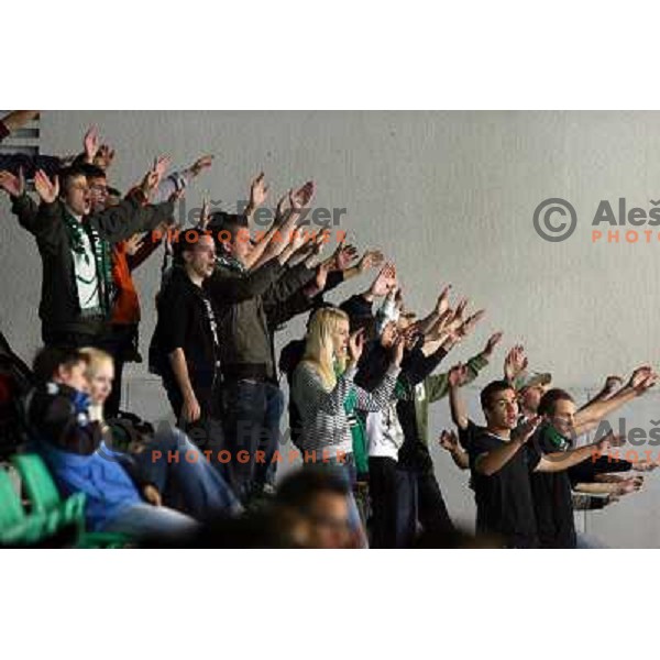 Green dragons at ice hockey match ZM Olimpija- Alba Volan in EBEL League, played in Ljubljana 19.10.2007.ZM Olimpija won 2:0.Photo by Ales Fevzer 