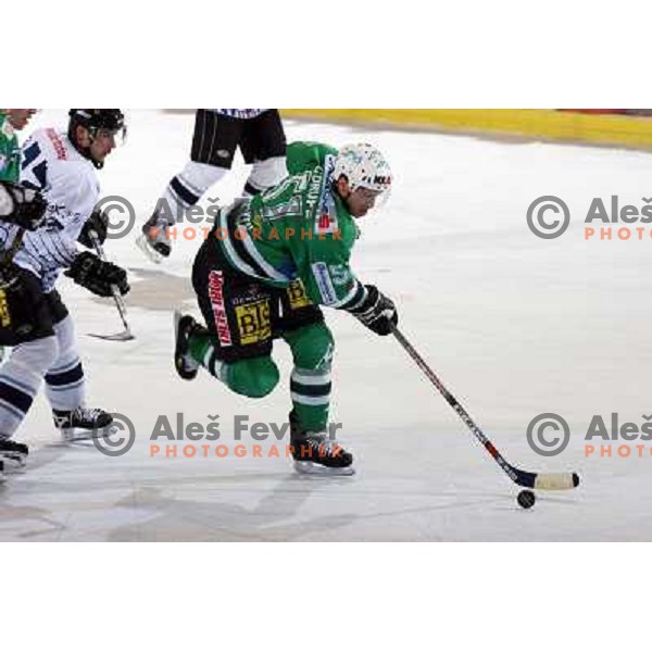 Corupe at ice hockey match ZM Olimpija- Alba Volan in EBEL League, played in Ljubljana 19.10.2007.ZM Olimpija won 2:0.Photo by Ales Fevzer 