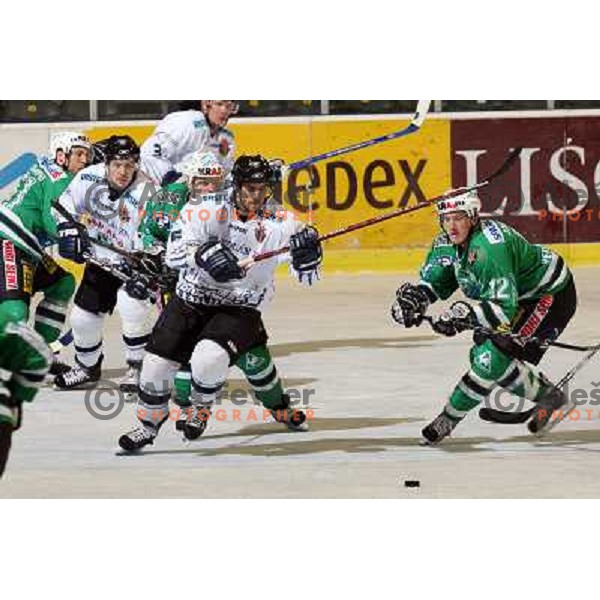 Jardine (12) at ice hockey match ZM Olimpija- Alba Volan in EBEL League, played in Ljubljana 19.10.2007.ZM Olimpija won 2:0.Photo by Ales Fevzer 